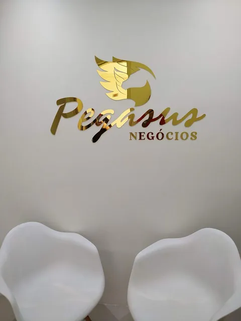Símbolo e letras Pegasus Negócios. Fotografia de trabalho da VLT Acrílicos.