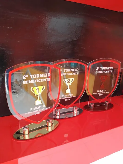 Troféus para torneio beneficente. Fotografia de trabalho da VLT Acrílicos.