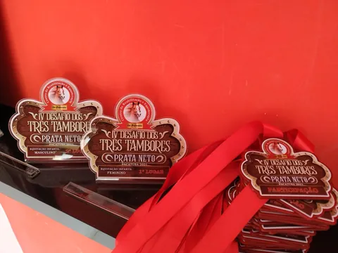 Medalhas com tema equestre. Fotografia de trabalho da VLT Acrílicos.