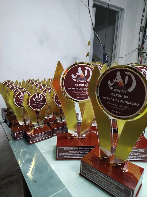 Troféus comemorativos em vermelho e dourado. Fotografia de trabalho da VLT Acrílicos.