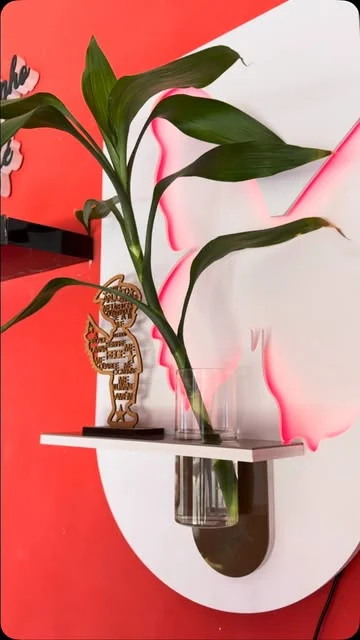 Suporte em acrílico com vaso e planta, fixado em parede vermelha.